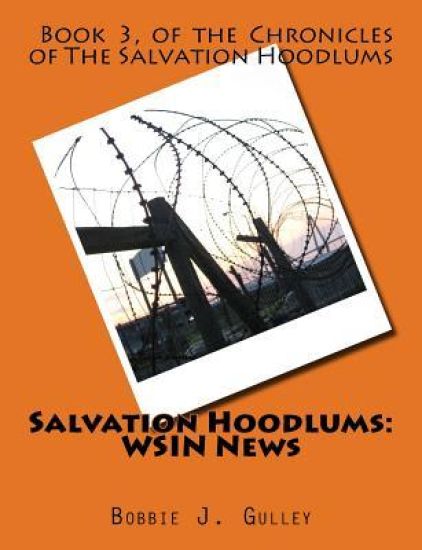 Salvation Hoodlums: WSIN News