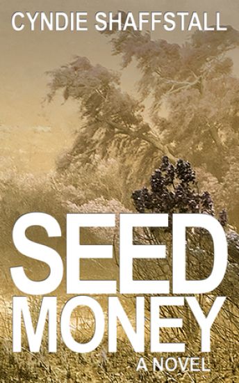 Seed Money: The Entrepreneur