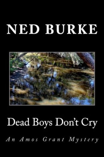 Dead Boys Don't Cry: An Amos Grant Mystery
