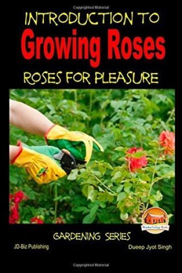 Introduction to Growing Roses - Roses for Pleasure