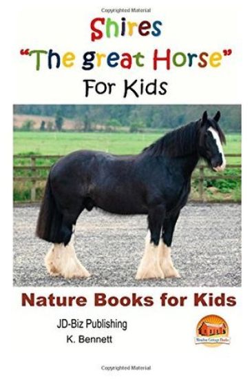 Shires "The great Horse" For Kids