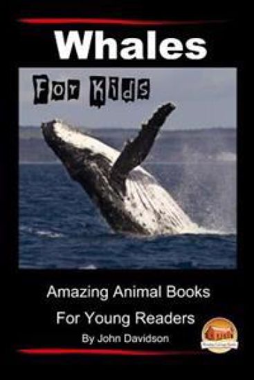 Whales For Kids