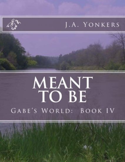 Meant To Be: Gabe's World: Book IV