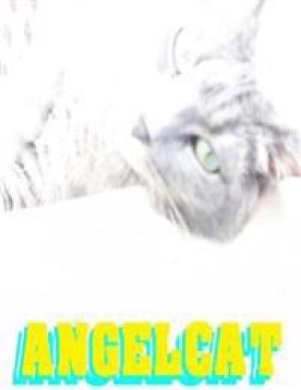 Angel Cat: Anime Manga Comic Book Ghost Soul Angel Heaven War Battle Good vs Evil Teenager Cat