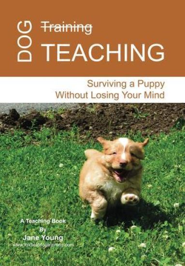 Dog Teaching: Surviving a Puppy Without Losing Your Mind