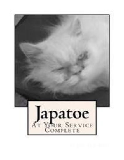 Japatoe: At Your Service Complete