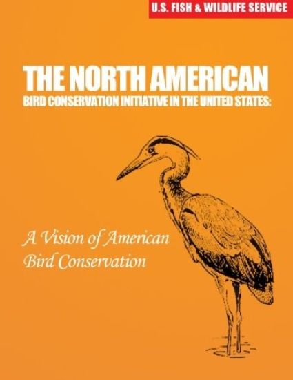 The North American Bird Conservation Initiative in the United States: A Vision of American Bird Conservation