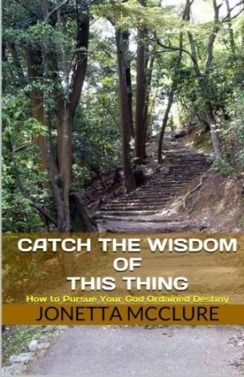 Catch The Wisdom of This Thing: How to Pursue Your God Ordained Destiny