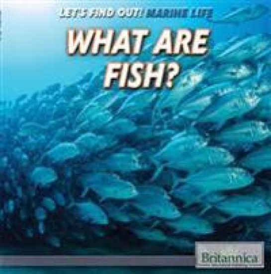 What Are Fish?