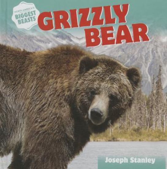 Grizzly Bear