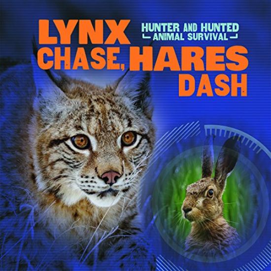 Lynx Chase, Hares Dash