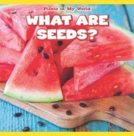 What Are Seeds?