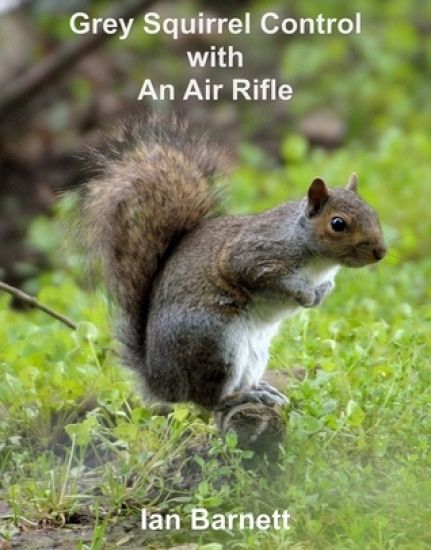 Grey Squirrel Control: With An Air Rifle