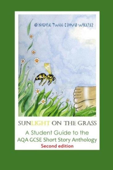 'Sunlight on the Grass': A Student Guide to the AQA GCSE Short Story Anthology: Large Print Edition