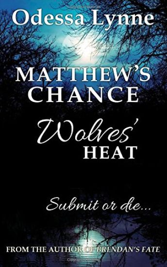 Matthew's Chance