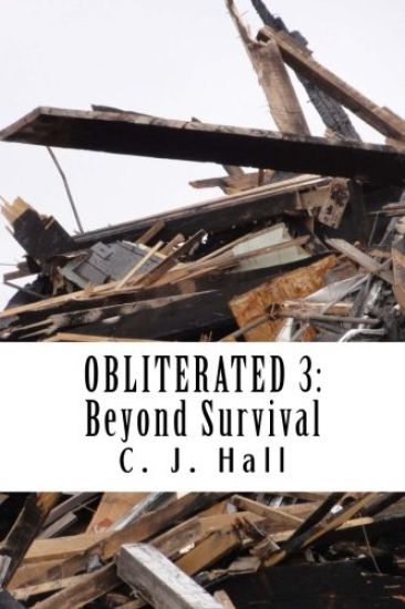 Obliterated 3: Beyond Survival