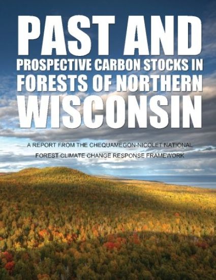 Past and Prospective Carbon Stocks in Forests of Northern Wisconsin