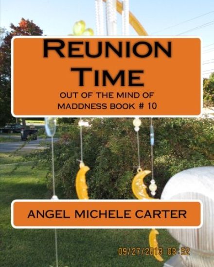 Reunion Time: out of the mind of maddness book # 10