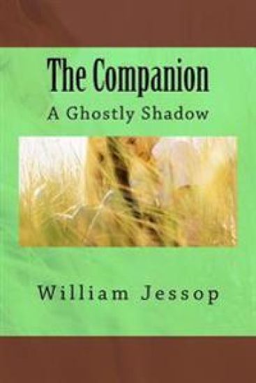 The Companion: A Ghostly Shadow