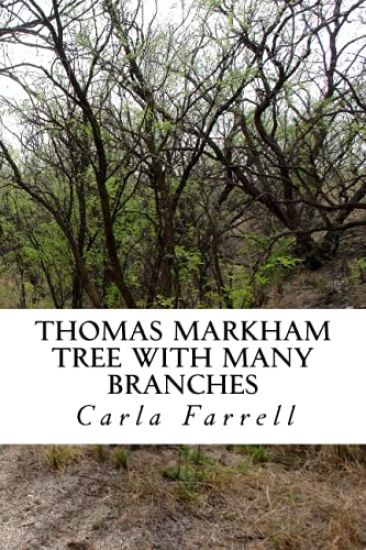Thomas Markham Tree With Many Branches