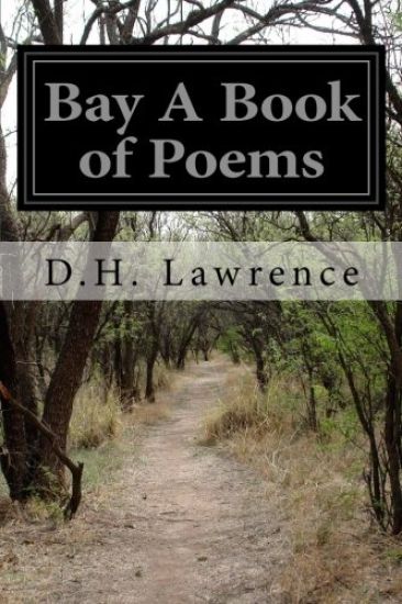 Bay A Book of Poems