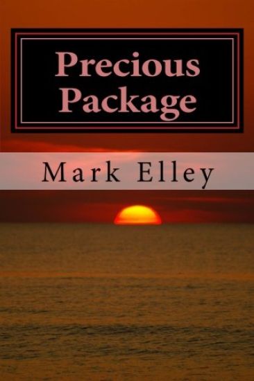 Precious Package: A John Doyle Mystery