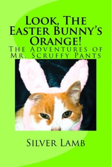 Look, The Easter Bunny's Orange: The Adventures of Mr. Scruffy Pants