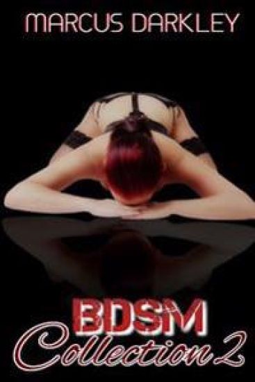 BDSM Collection 2