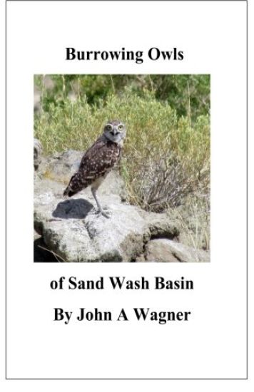 Burrowing Owls of Sand Wash Basin