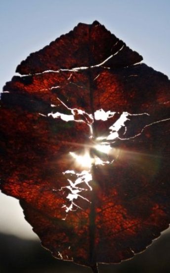 "7": A simple Guide Book for Increasing basic Self-Wisdom, Self-Relationships and Self Love