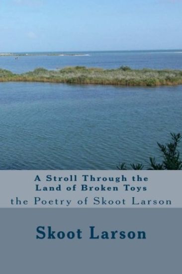 A Stroll Through the Land of Broken Toys: the Poetry of Skoot Larson