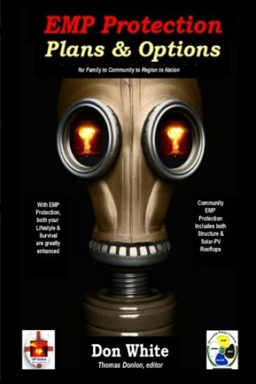 EMP Protection Plans & Options: for Family, Community, Region, and National