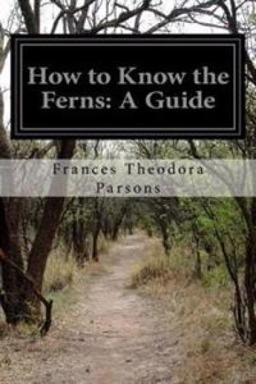 How to Know the Ferns: A Guide