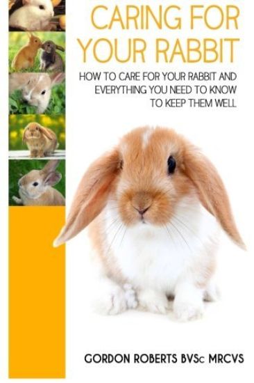 Caring For Your Rabbit: How to care for your Rabbit and everything you need to know to keep them well