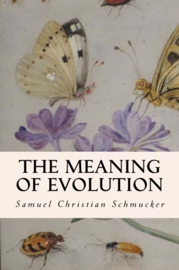 The Meaning of Evolution