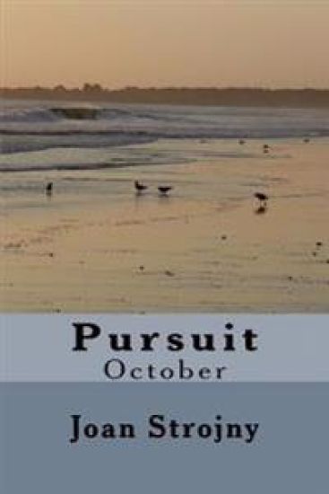 Pursuit