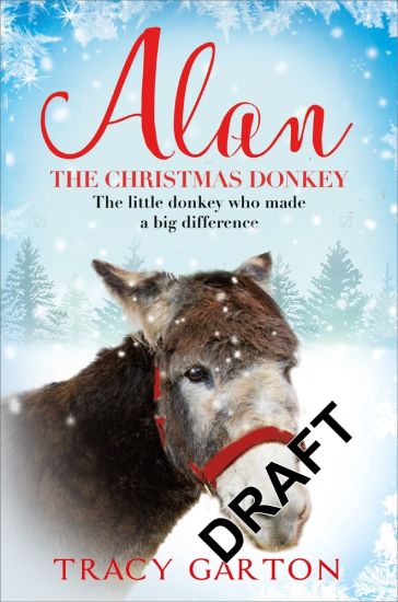 Alan The Christmas Donkey