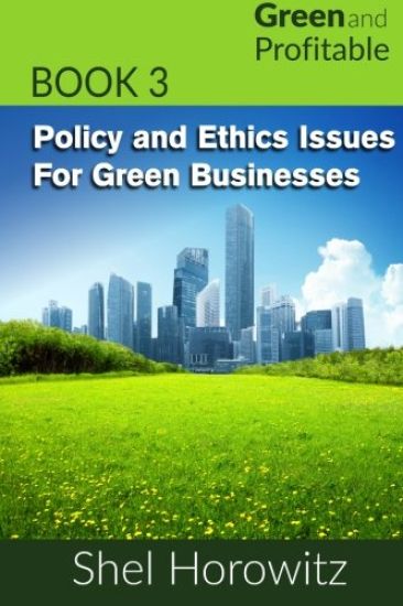 Policy and Ethics Issues for Green Businesses