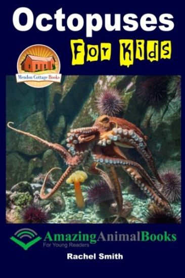 Octopuses For Kids