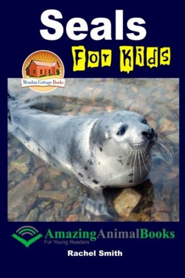 Seals For Kids