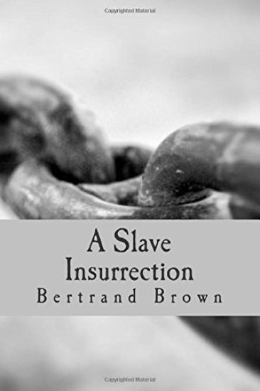 A Slave Insurrection