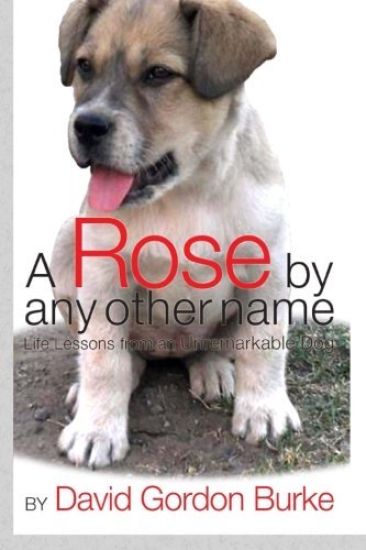A Rose by Any Other Name: Life Lessons from an Unremarkable Dog