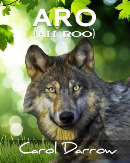 Aro: The story of a mistreated wolf pup