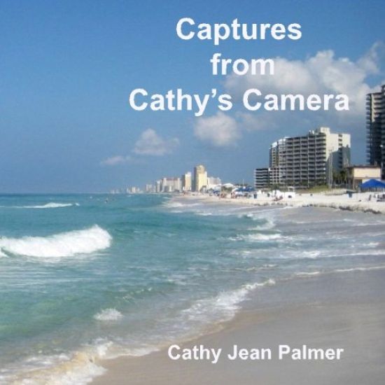 Captures from Cathy's Camera: A glimpse of the beauty of Panama City Beach, Florida