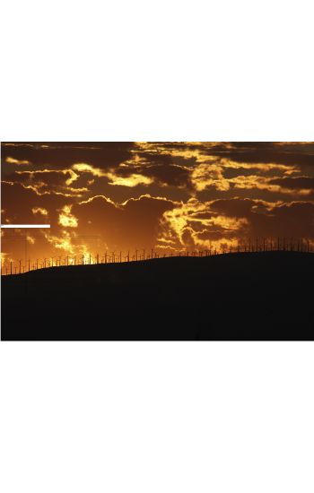 The Palm Springs Tales: Book Three: Happily Ever After