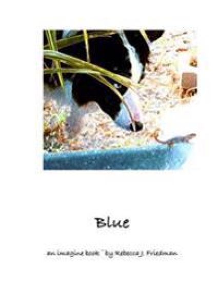 Blue an imagine book