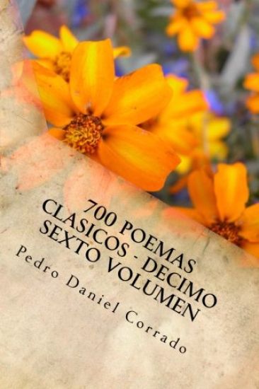 700 Poemas Clasicos - Decimo Sexto Volumen: Decimo Sexto Volumen del Octavo Libro de la Serie 365 Selecciones.com