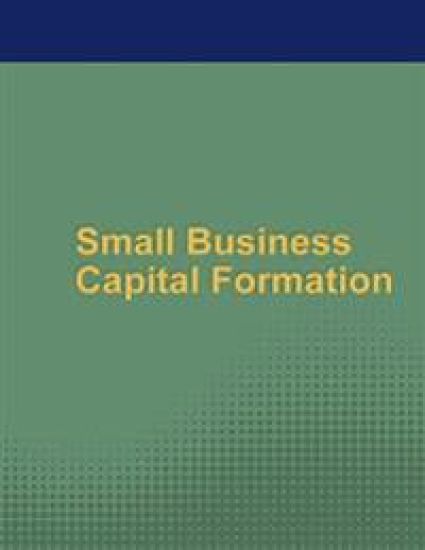 Small Business Capital Formation