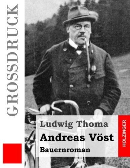 Andreas Vöst (Großdruck): Bauernroman