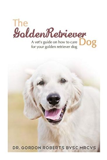 The Golden Retriever: A vet's guide on how to care for your Golden Retriever dog